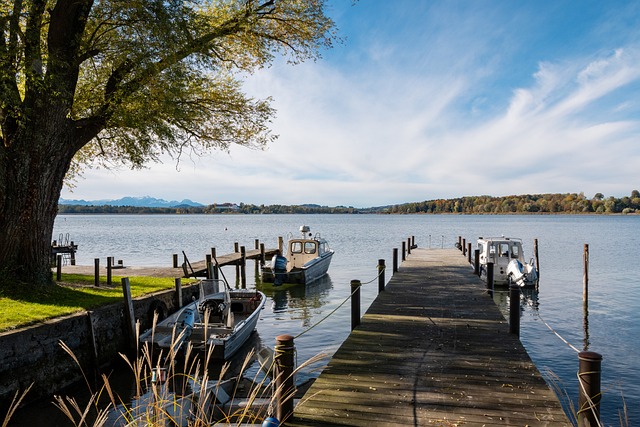 从欧洲赛场 从欧洲赛场