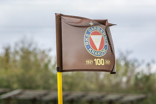 球扳平比分 球扳平比分