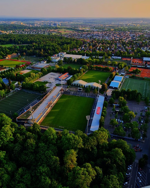 恢复能力 恢复能力